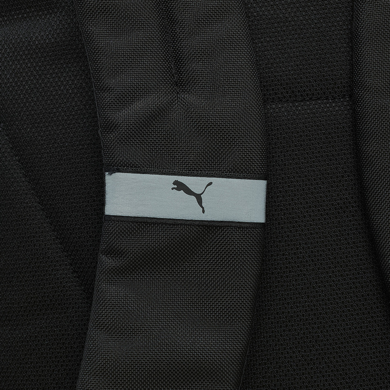 Рюкзак Puma Teamgoal Ball Net 09046701