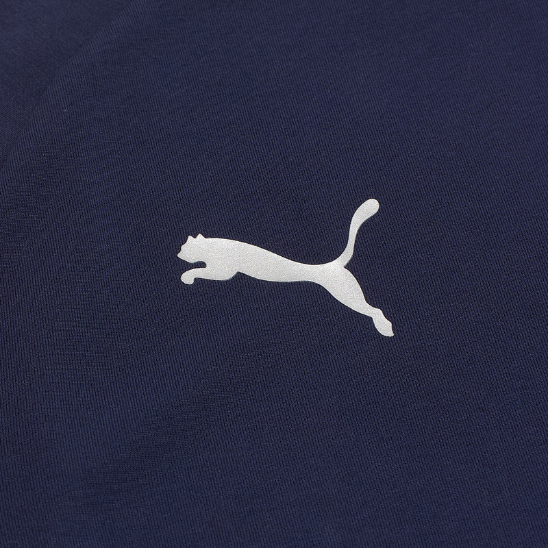 Футболка Puma Teamevostripe Tee 65995306