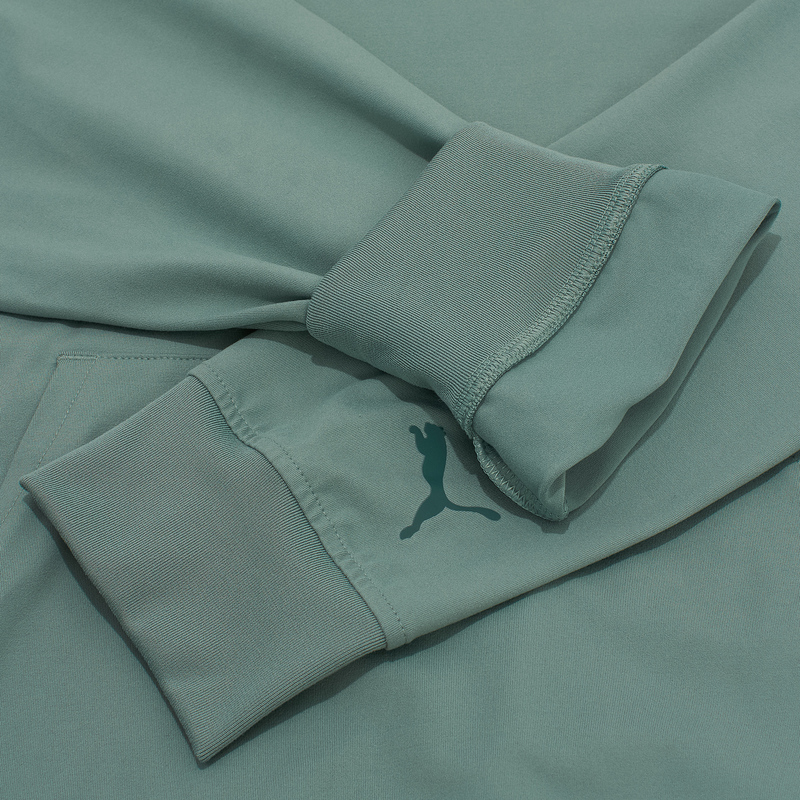 Толстовка Puma Cloudspun Branded 52667830