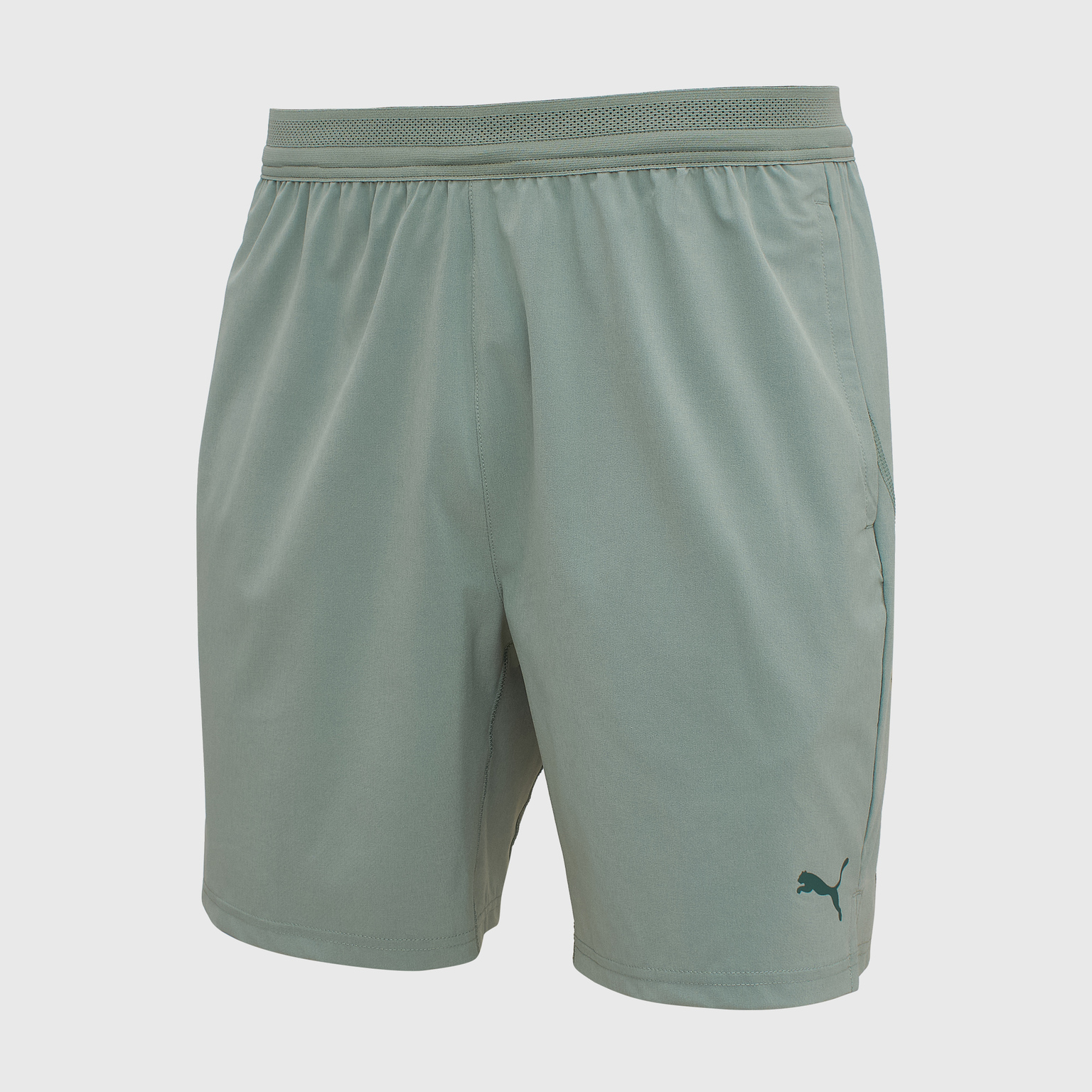 Шорты тренировочные Puma Tech Train 52671330
