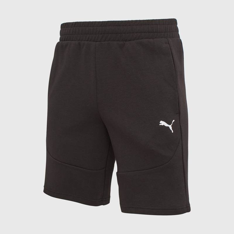 Шорты Puma Pumatech 68460301
