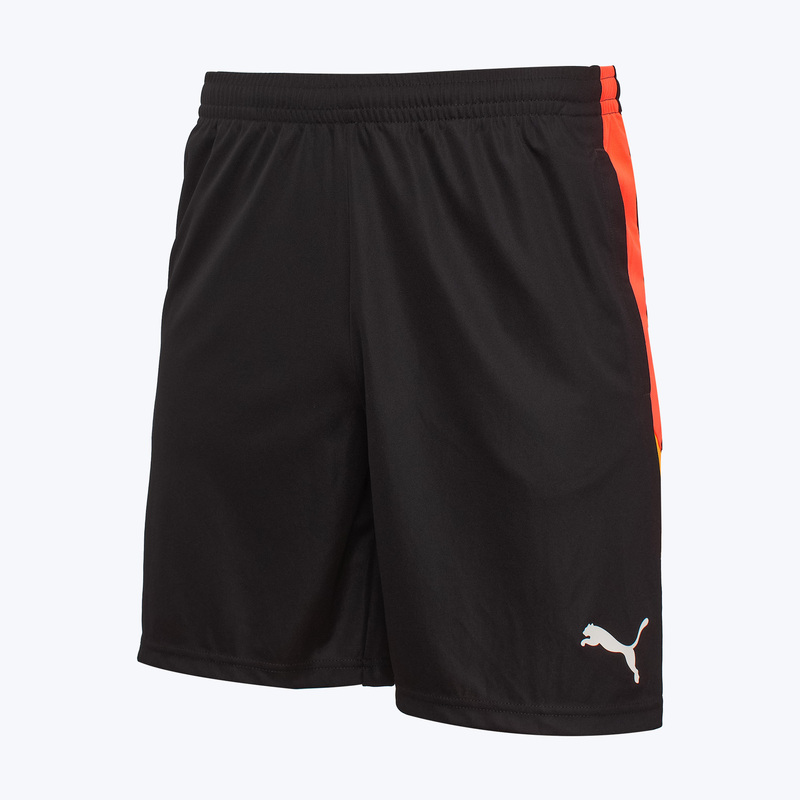 Шорты тренировочные Puma Individualliga 65951907