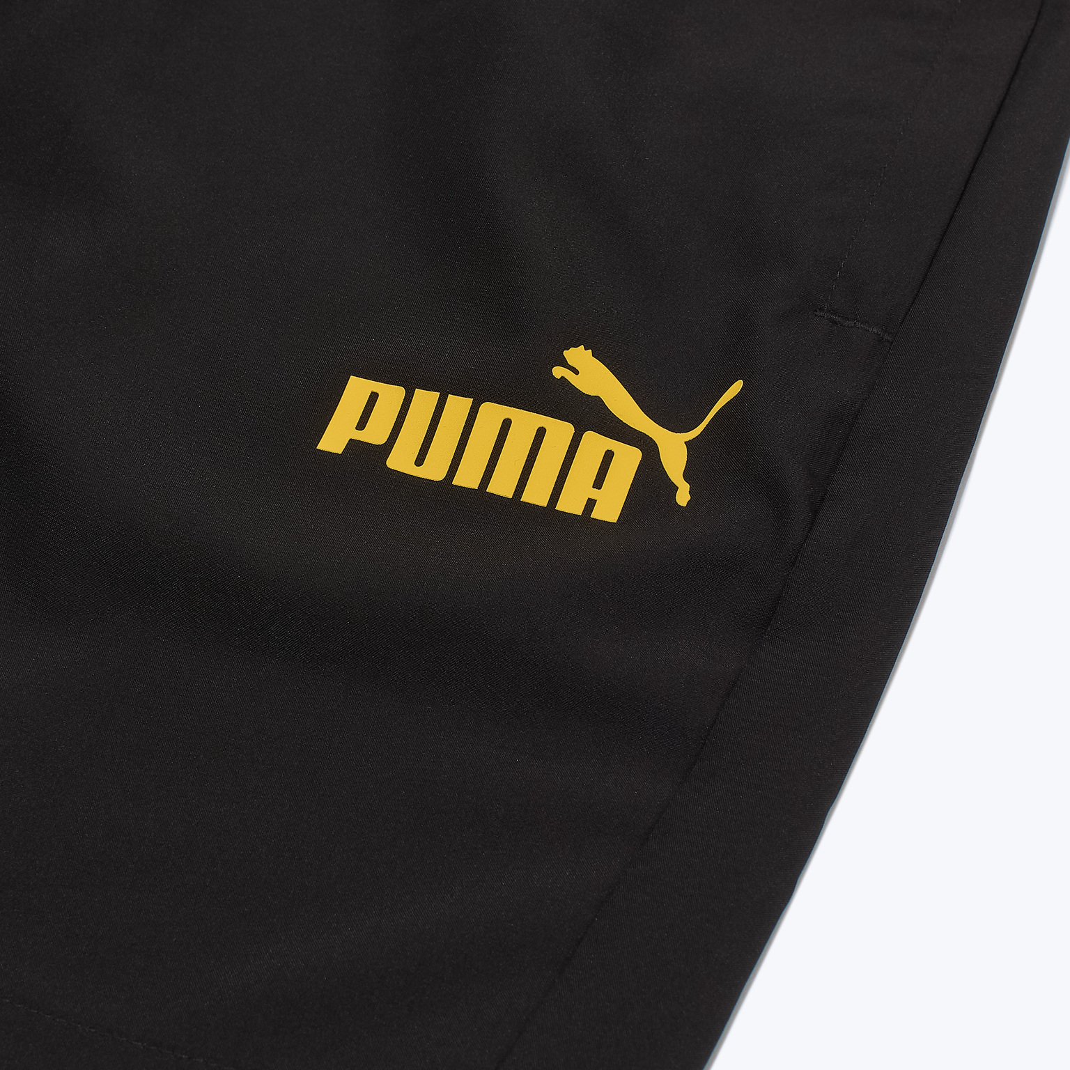 Шорты Puma Borussia Ftblarchive 77911002