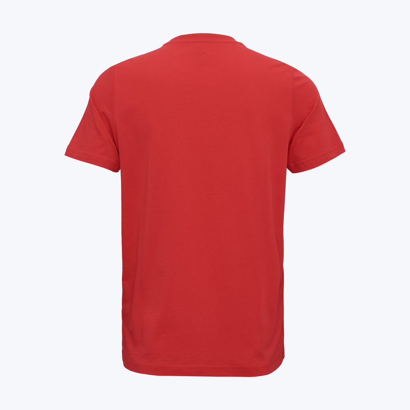 Футболка хлопковая Puma Milan Ftblnrgy Tee 77931509
