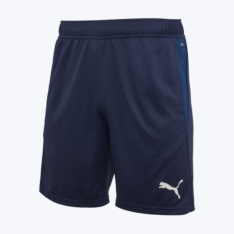 Шорты тренировочные Puma Teamgoal 65864306