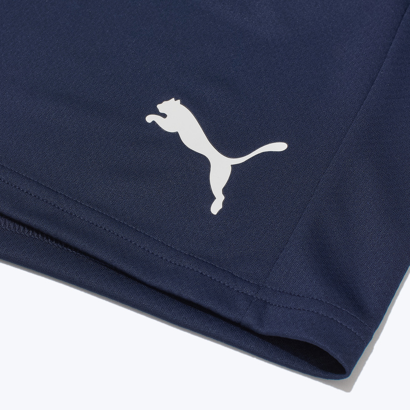 Шорты тренировочные Puma Teamgoal 65864306