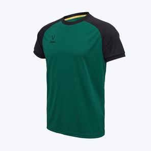 Футболка игровая Jogel Camp Reglan ЦБ-00004646