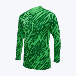 Свитер вратарский Nike Gardien V FD7474-329