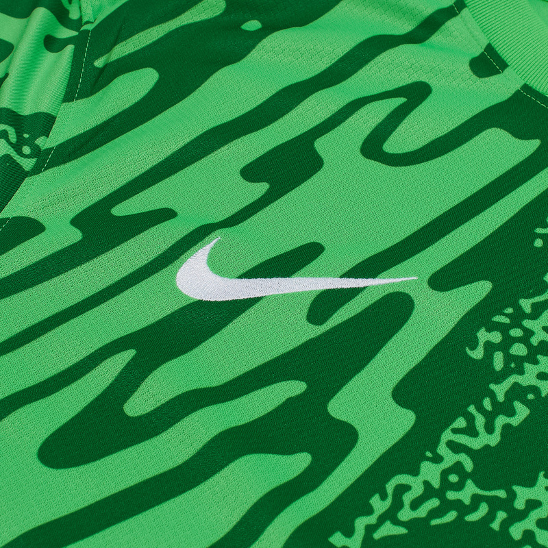 Свитер вратарский Nike Gardien V FD7474-329