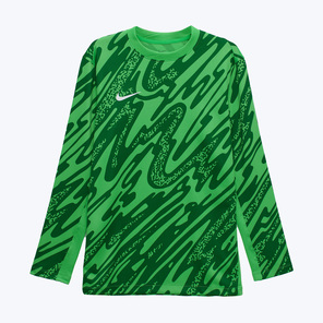 Свитер вратарский подростковый Nike Gardien V FD7480-329