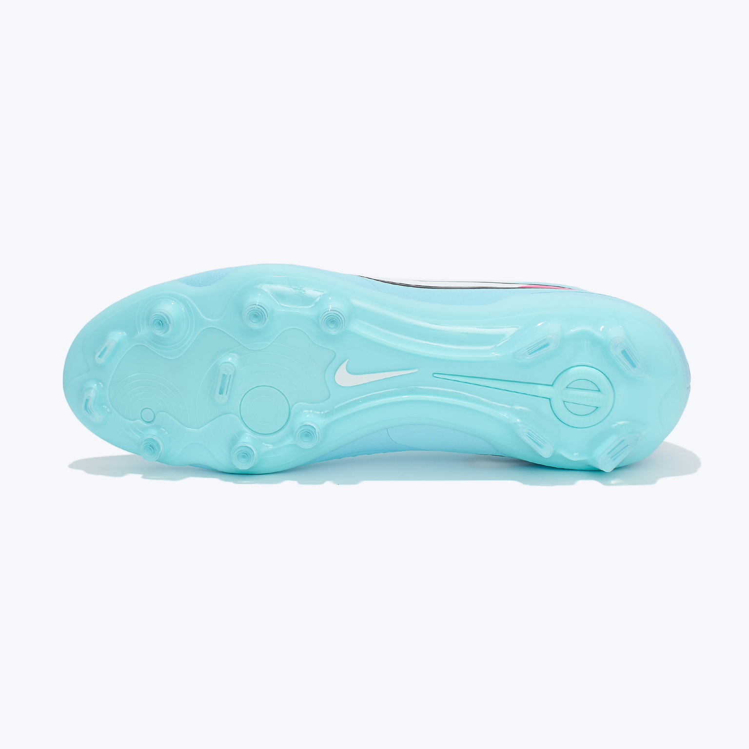 Бутсы Nike Legend 10 Pro FG DV4333-401