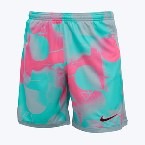 Шорты тренировочные Nike Academy+ HJ4241-646