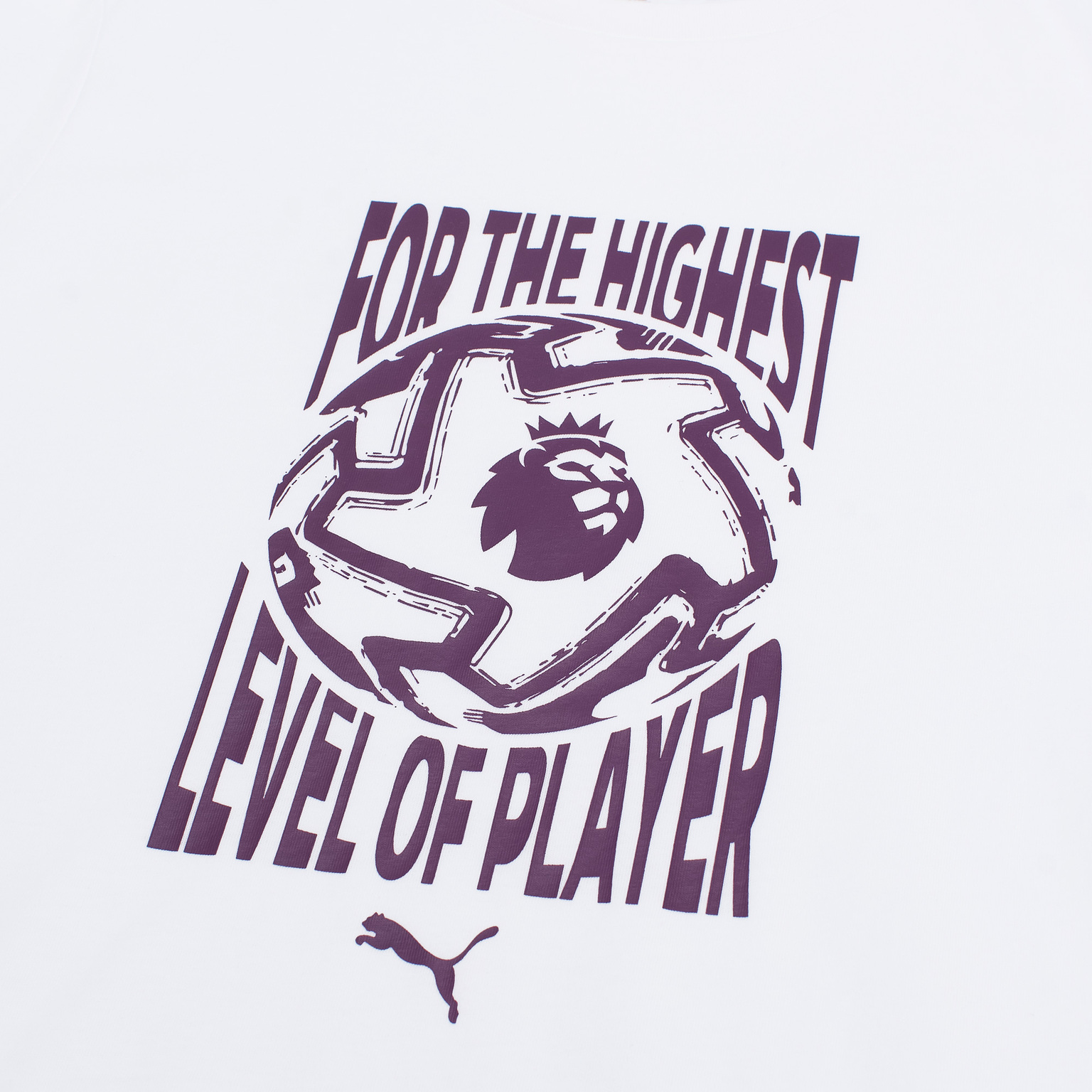 Футболка хлопковая Puma Logo Tee 66036101