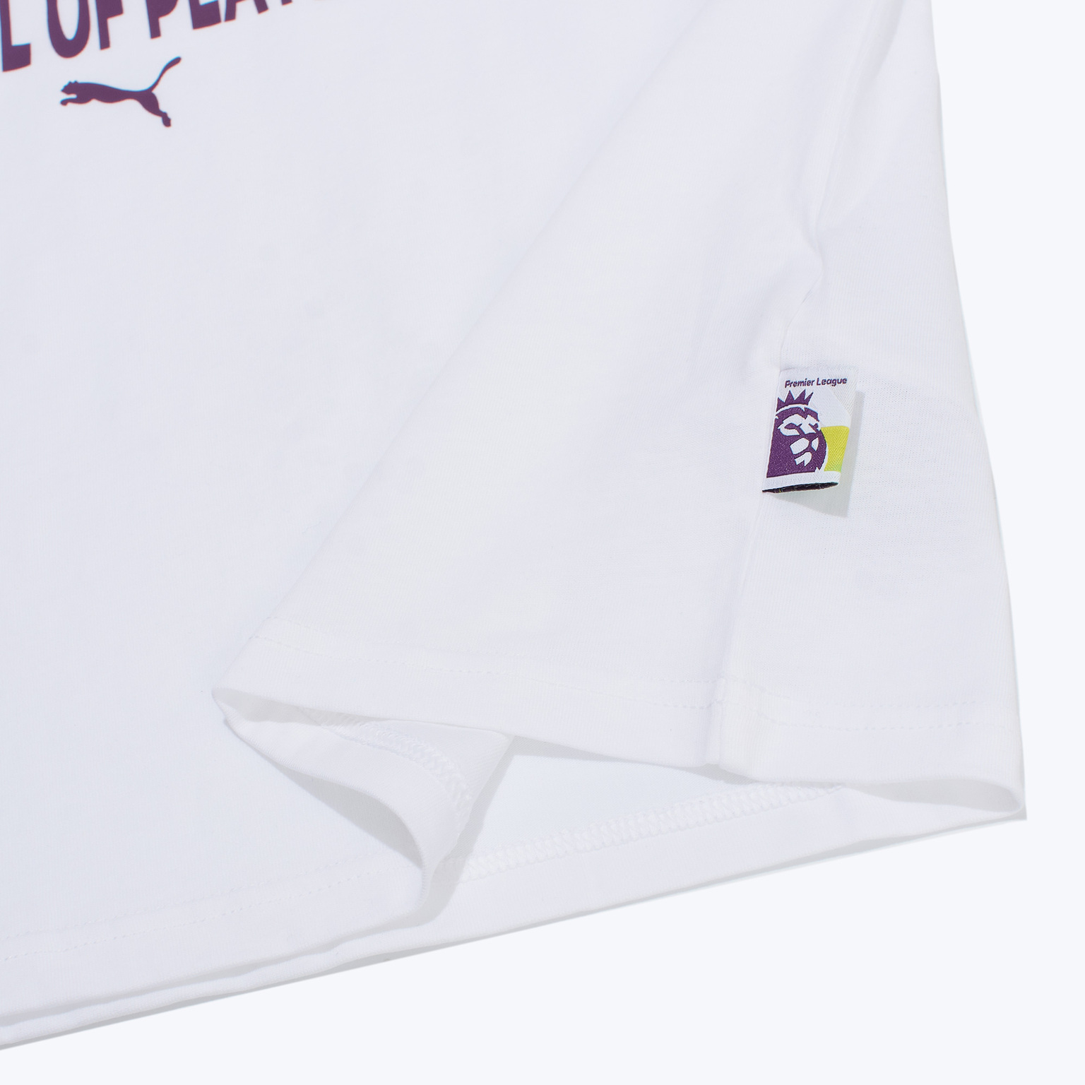 Футболка хлопковая Puma Logo Tee 66036101