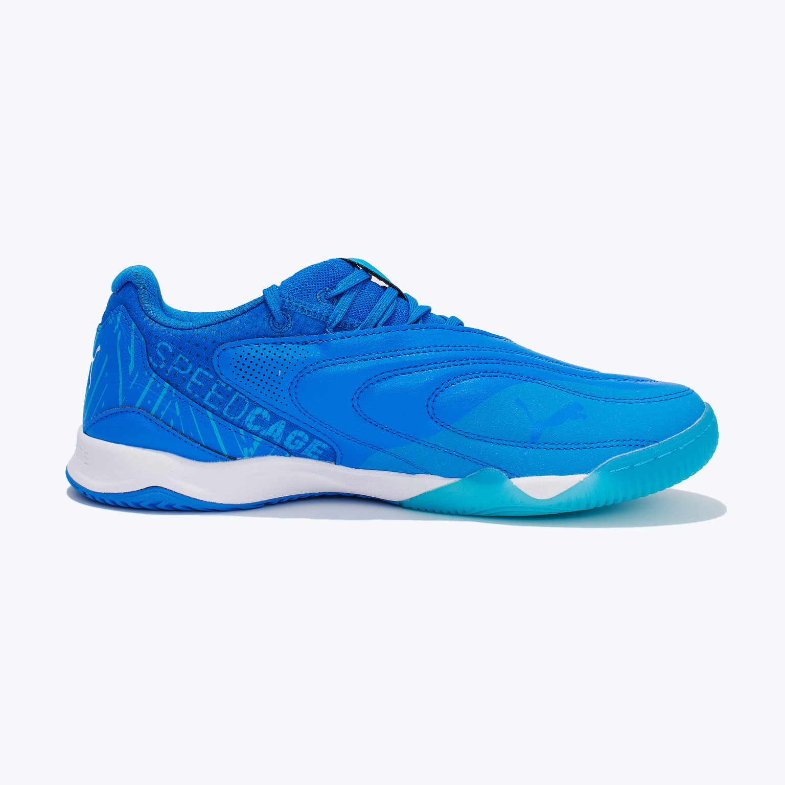 Футзалки Puma Ibero V IT 10845503