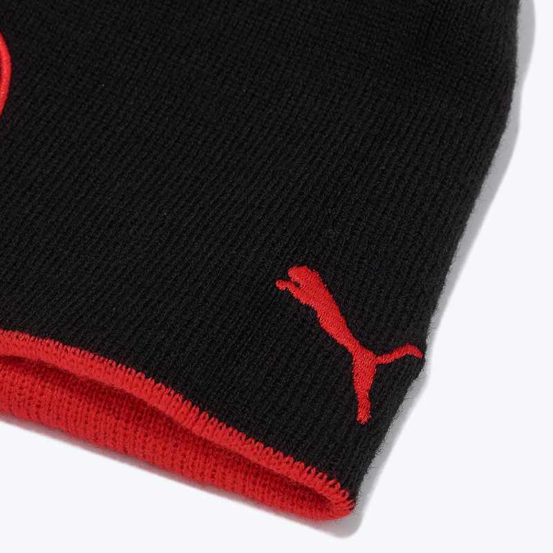 Шапка двусторонняя Puma Milan Beanie 02647702