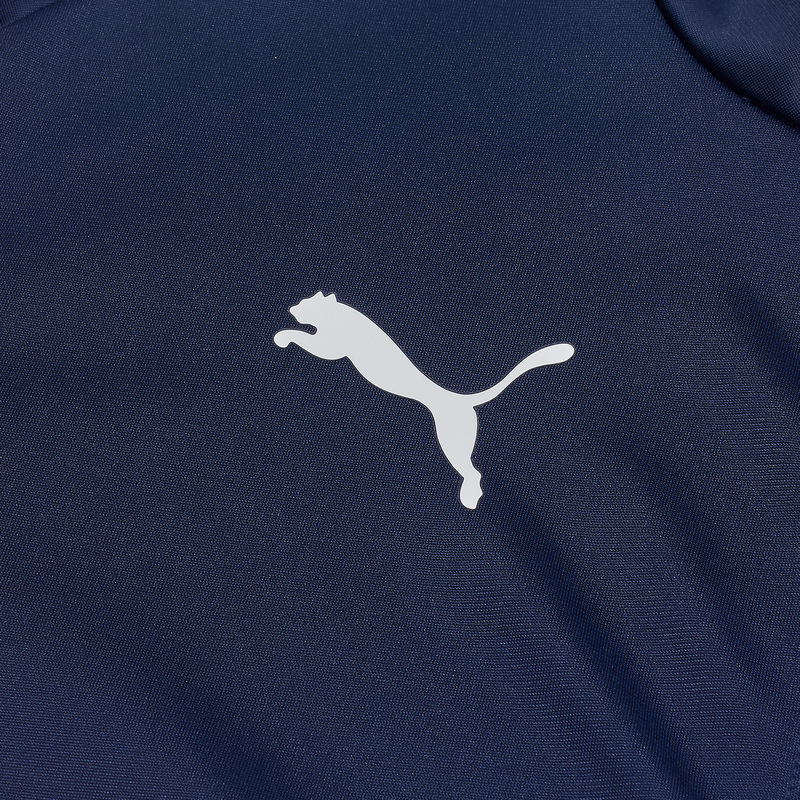 Олимпийка Puma Teamgoal Training Jacket 65863306