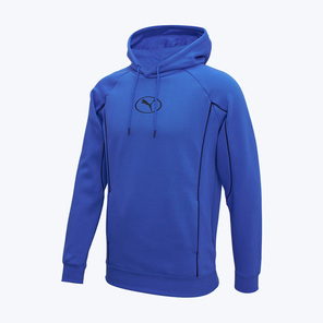 Толстовка Puma Sport FL 68839413