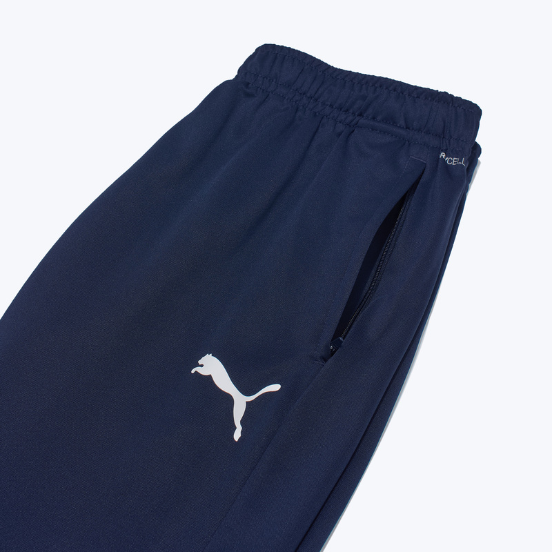 Брюки тренировочные Puma Teamgoal 65863906