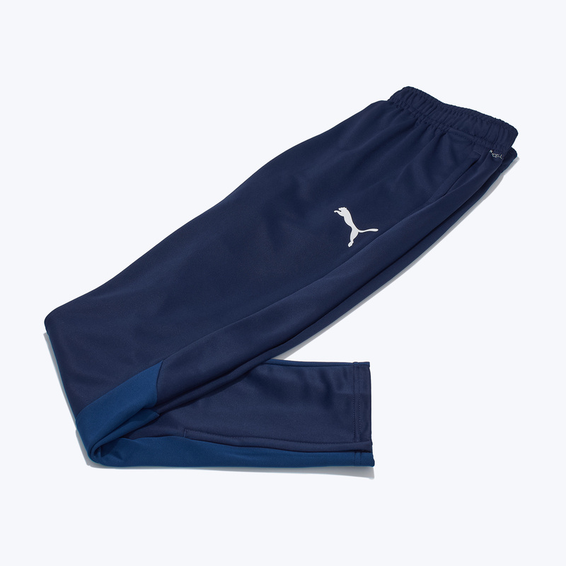 Брюки тренировочные Puma Teamgoal 65863906