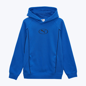 Толстовка подростковая Puma Sport FL 68885713