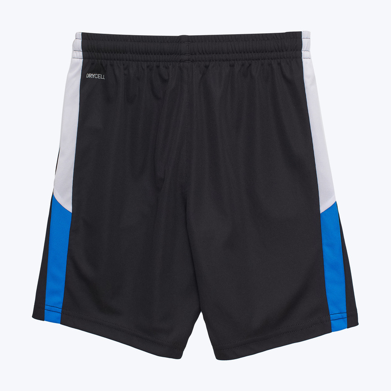 Шорты тренировочные подростковые Puma Individualliga 65952109