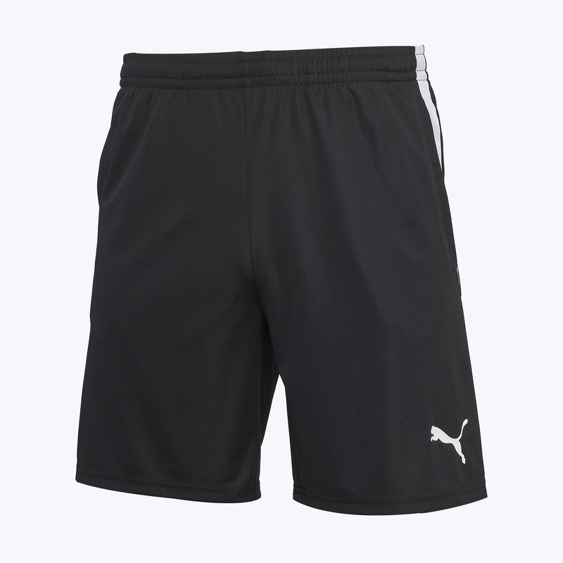 Шорты тренировочные Puma Individualliga 65951909