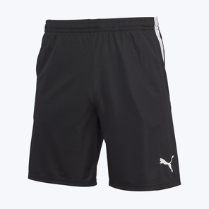 Шорты тренировочные Puma Individualliga 65951909
