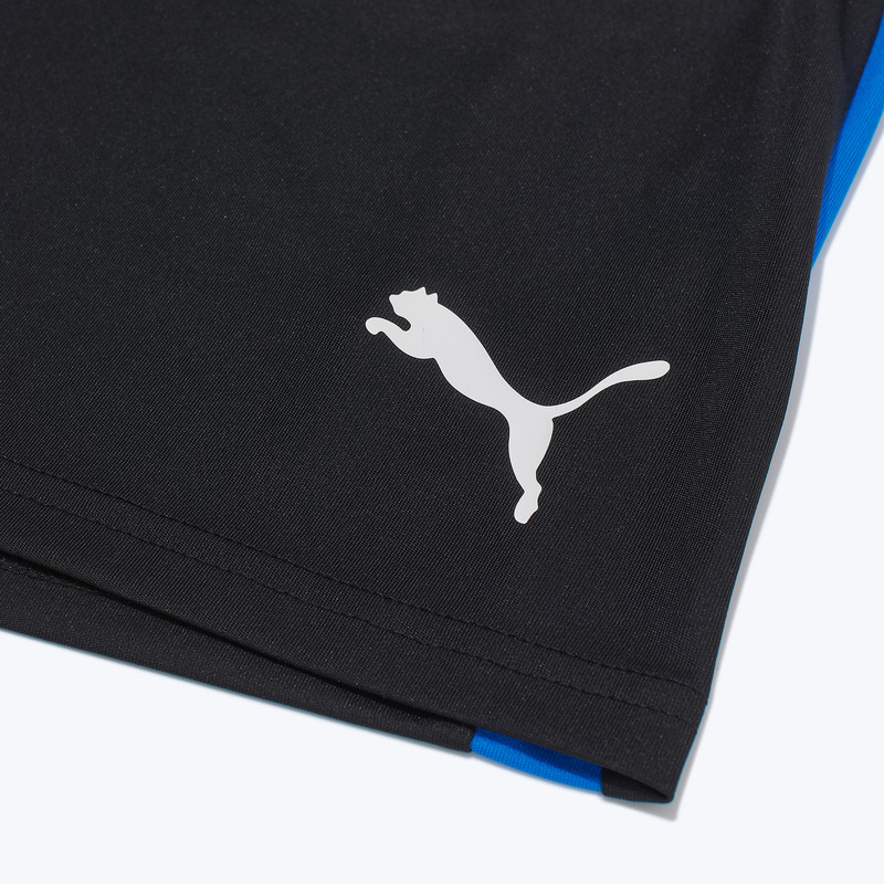 Шорты тренировочные Puma Individualliga 65951909
