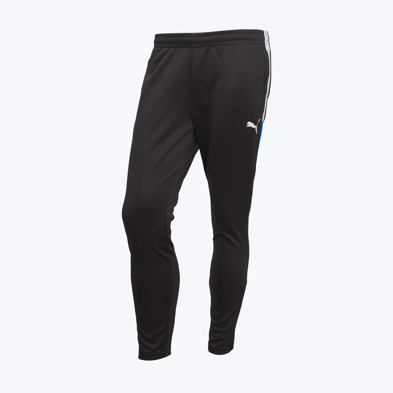 Брюки тренировочные Puma Individualliga 65951709