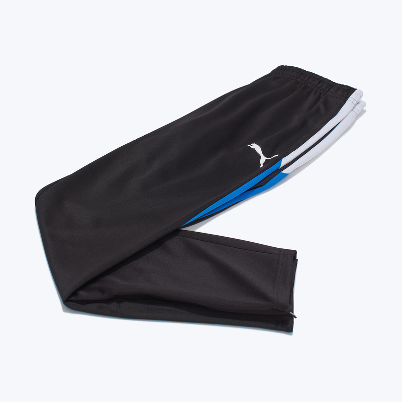 Брюки тренировочные Puma Individualliga 65951709
