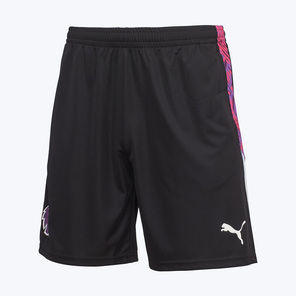 Шорты Puma PL Brilliance 66037201
