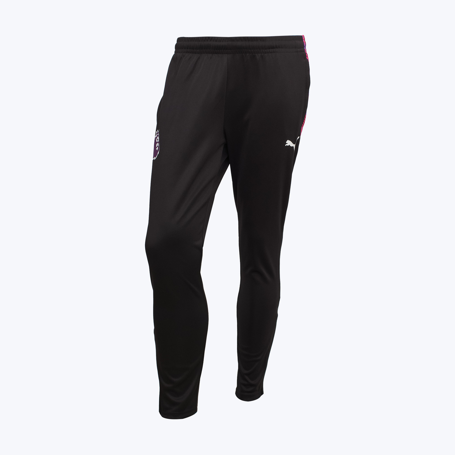 Брюки тренировочные Puma PL Brilliance 66038401
