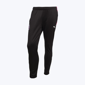 Брюки тренировочные Puma PL Brilliance 66038401
