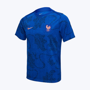 Футболка предыгровая Nike сборной Франции Academy Pro Top сезон 2025/26
