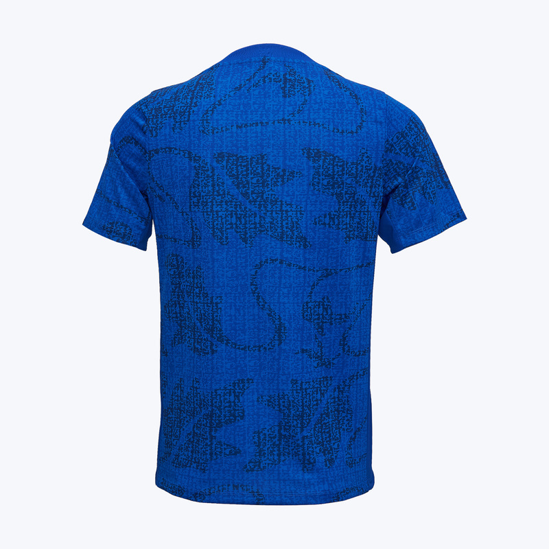 Футболка предыгровая Nike сборной Франции Academy Pro Top сезон 2025/26