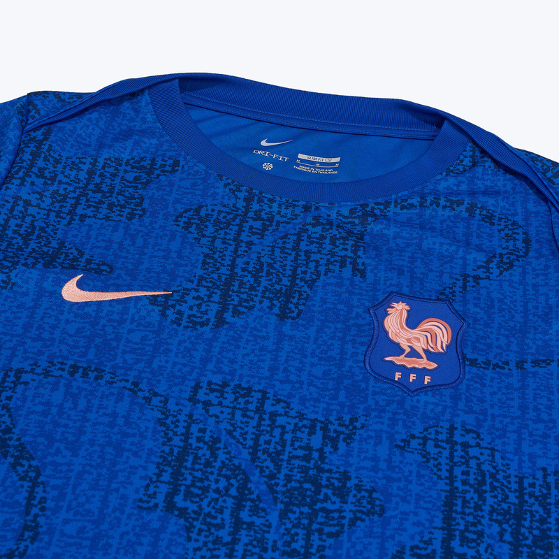 Футболка предыгровая Nike сборной Франции Academy Pro Top сезон 2025/26