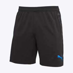 Шорты тренировочные Puma Individualcup 66024807