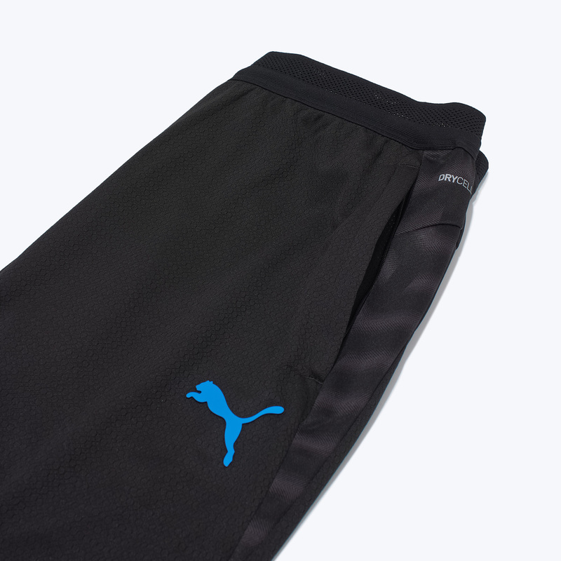 Брюки тренировочные Puma Individualcup 66025007