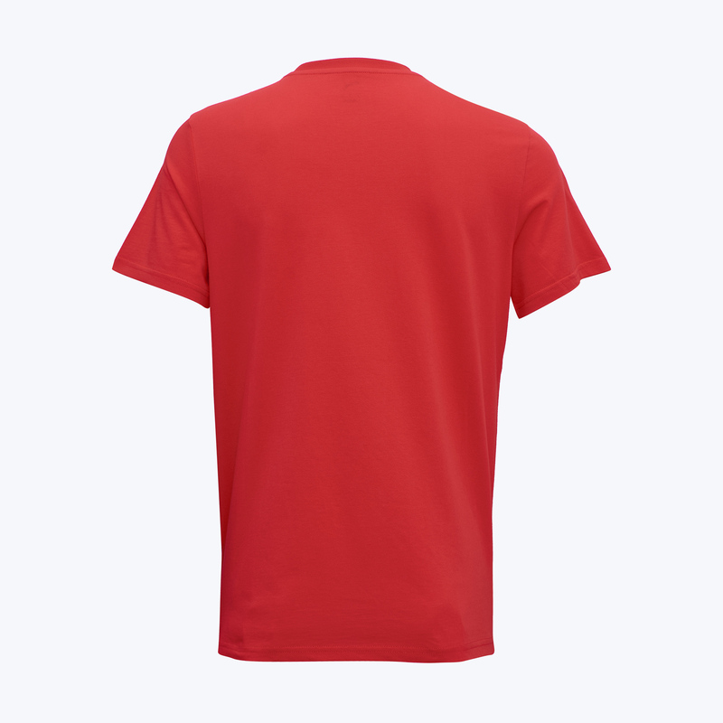 Футболка хлопковая Puma Milan Ftbless Tee 78258401