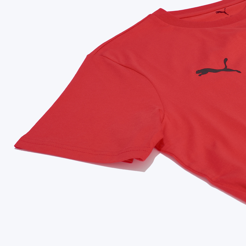 Футболка хлопковая Puma Milan Ftbless Tee 78258401