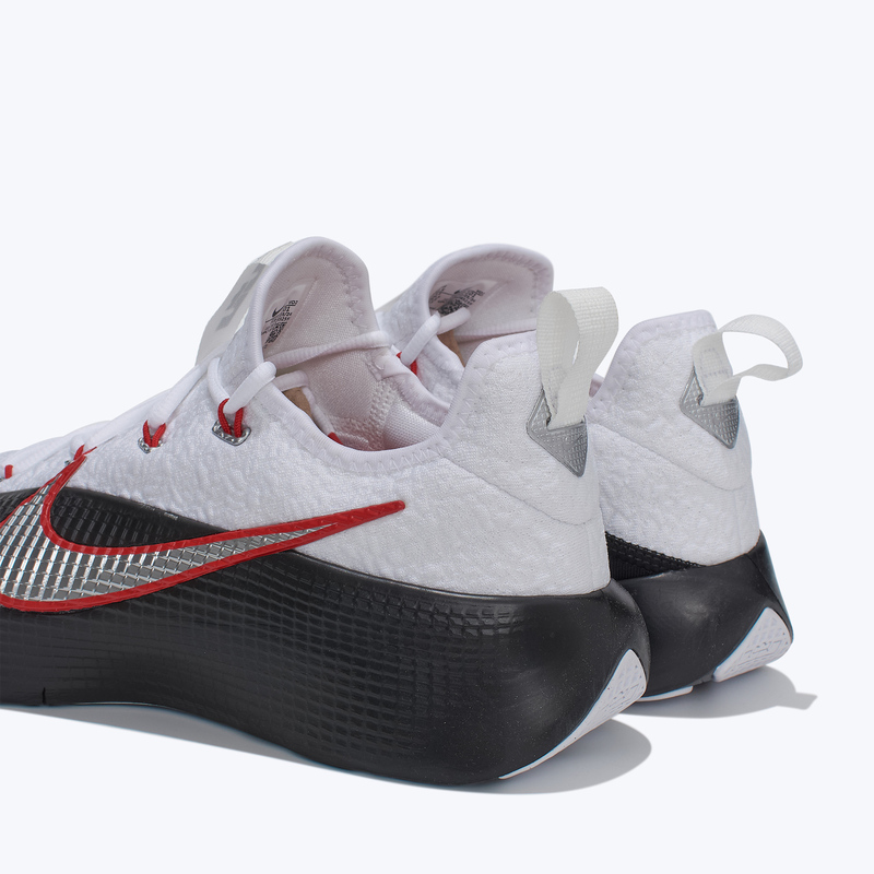 Кроссовки Nike Lebron TR 1 FJ6151-101