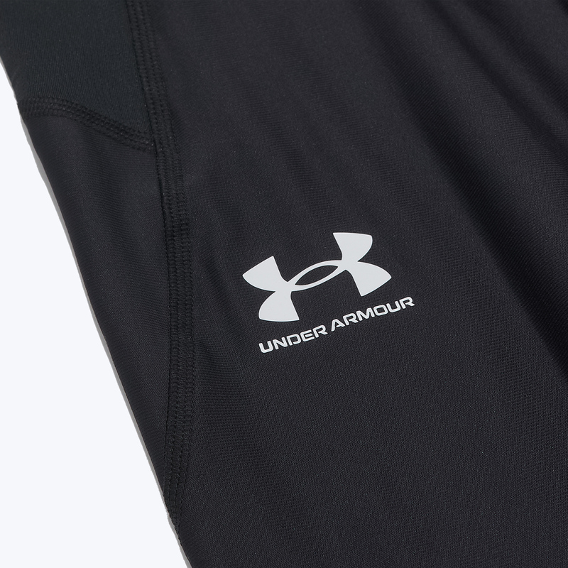Белье лосины Under Armour Heatgear 1361586-001