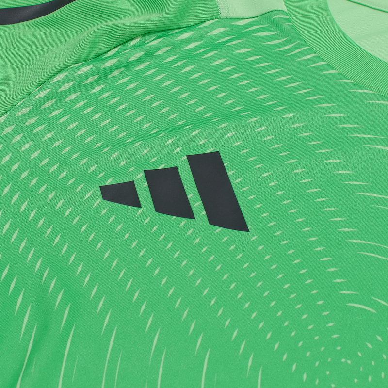 Свитер вратарский Adidas Tiro25 JP4369
