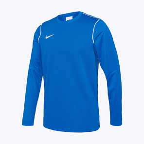 Свитер тренировочный Nike Park20 Crew Top FJ3004-463
