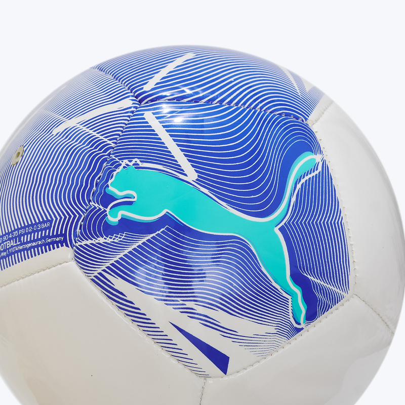 Сувенирный мяч Puma Big Cat 08459105