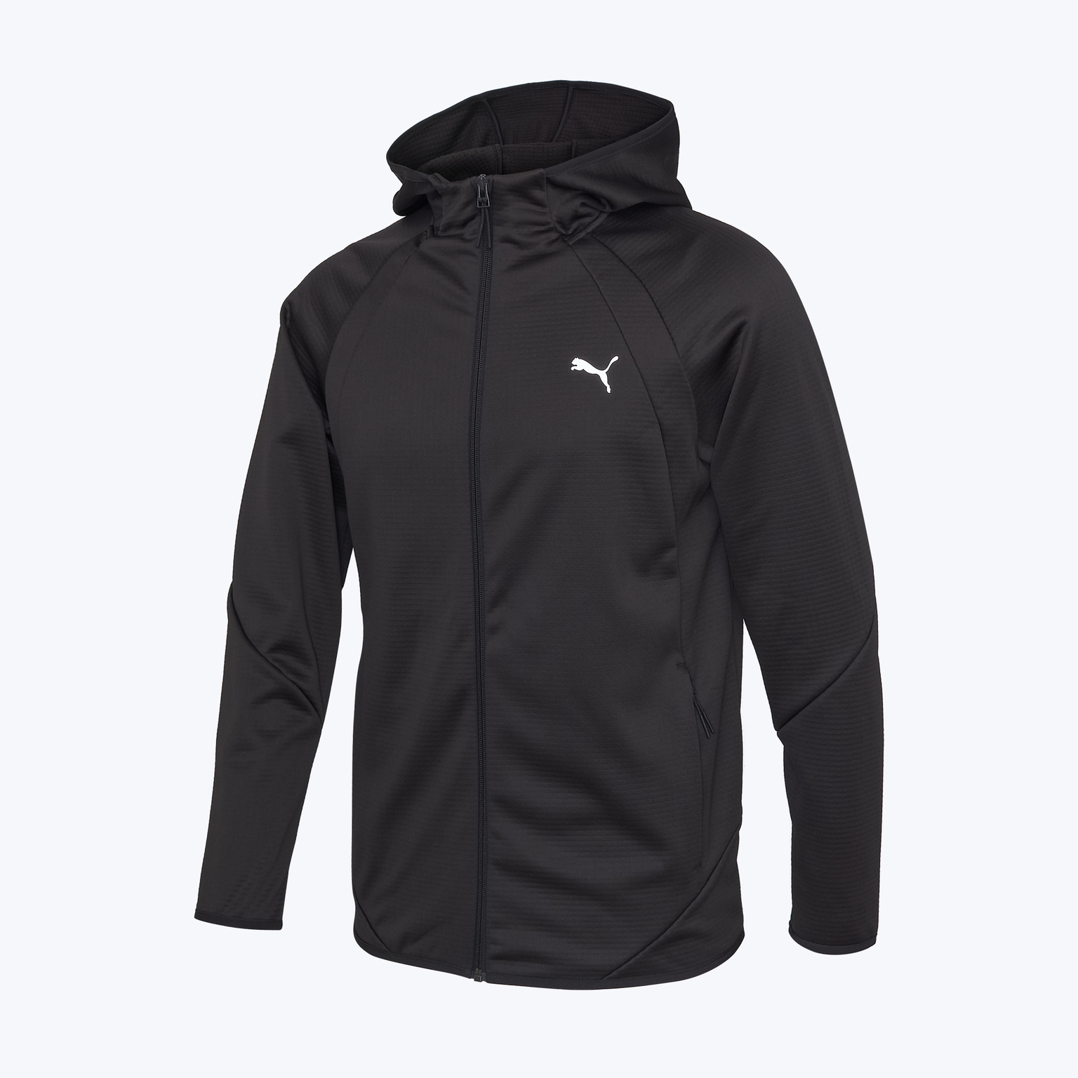 Толстовка Puma Evostripe Warm 68823701