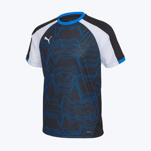 Футболка тренировочная Puma Individualliga Graphic 65992409