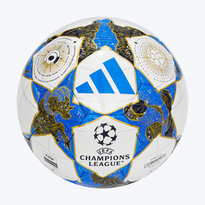 Футзальный мяч Adidas Champions League Pro Sala JP1546
