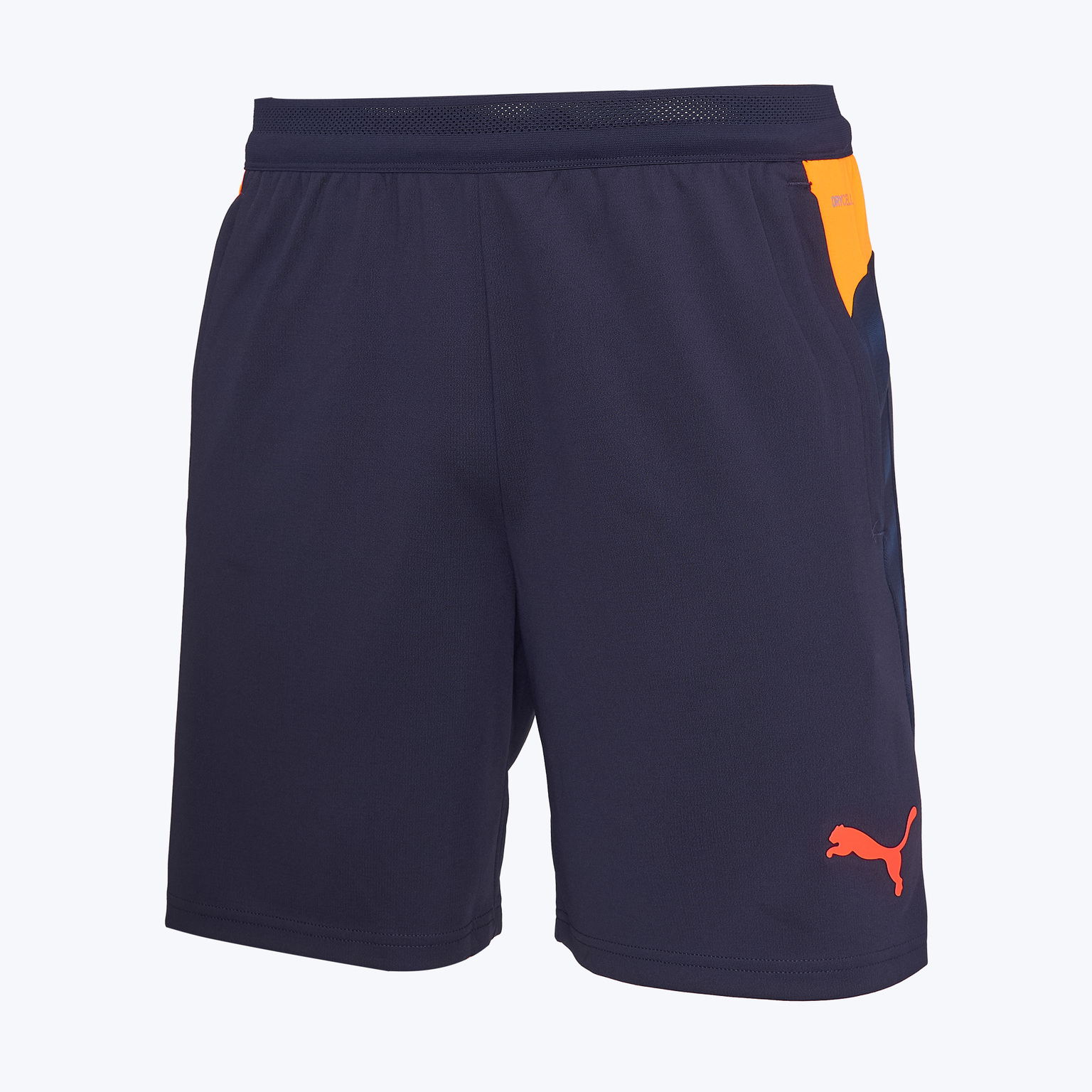 Шорты тренировочные Puma Individualcup 66024808